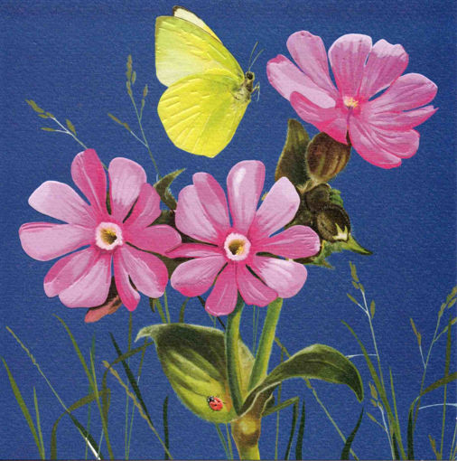 Picture of PINK FLOWER & BUTTERFLY BLANK CARD